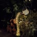 2 Pack Solar LED Watering Can Fairy String Lights, Water Can and Metal Post