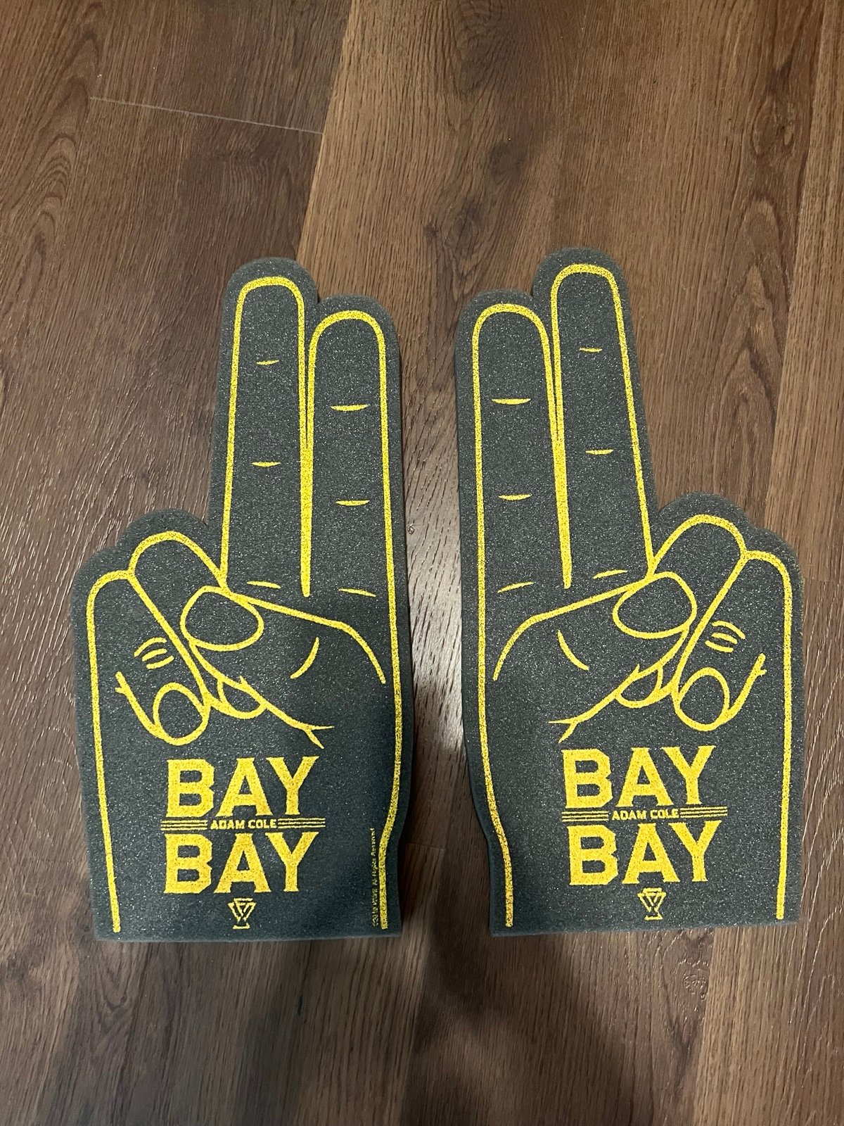 ADAM COLE BAY BAY Foam Fingers Rare Exclusive WWE NXT AEW Bullet Club