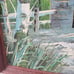 Mid-Century Charm: Original Forrestor Oil Painting of Covered Bridge - 16x13