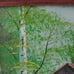 Mid-Century Charm: Original Forrestor Oil Painting of Covered Bridge - 16x13