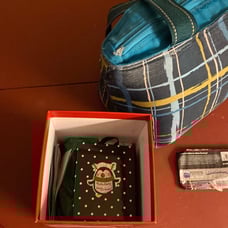 Pokémon cards and a book and a Pokémon coin