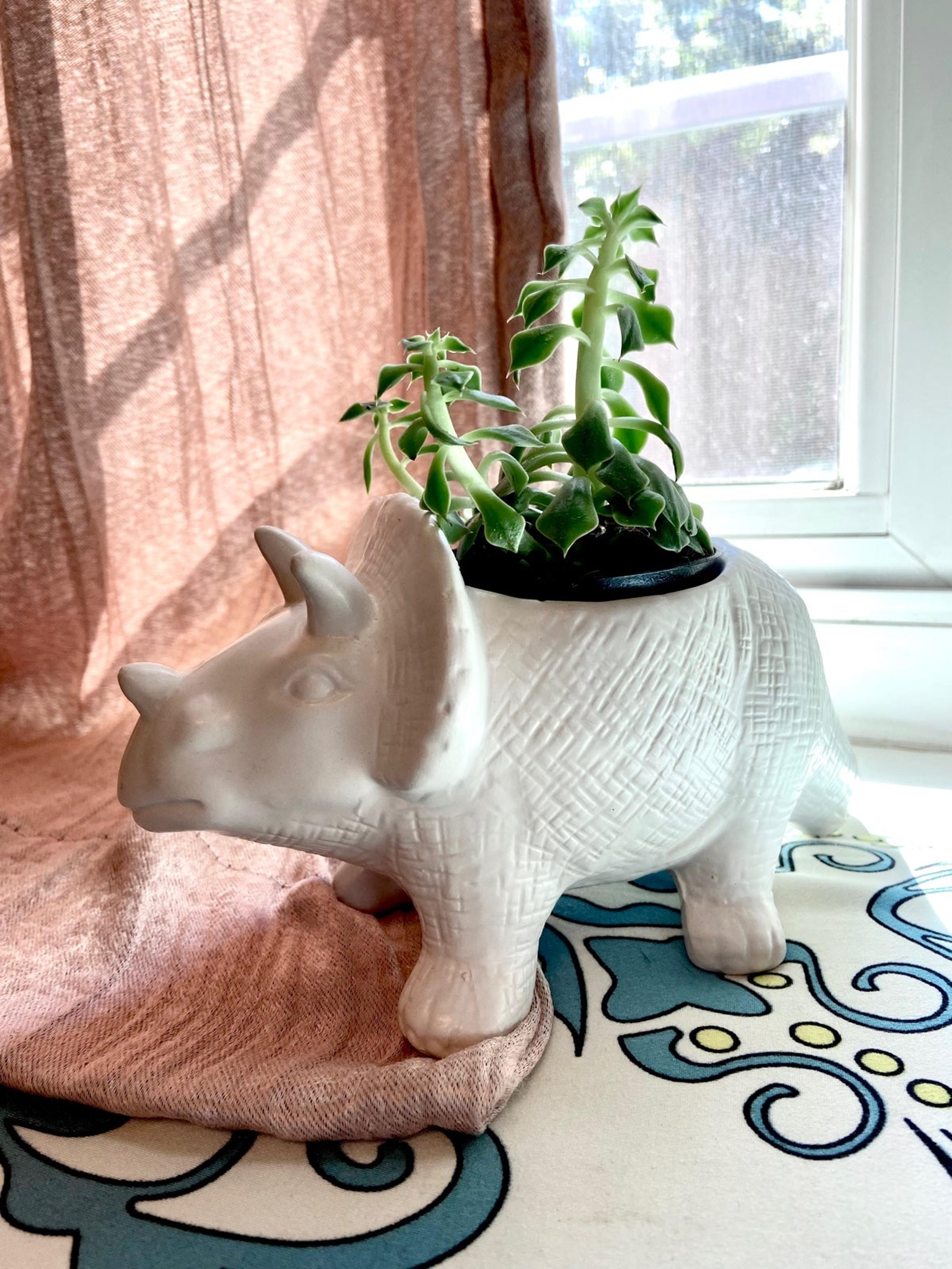 Triceratops Dinosaur Succulent Planter