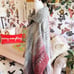Free People Willow Poncho Sweater Button Turtleneck Alpaca Blend