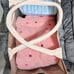 Deluxe Light pink small breed puppy/dog pack