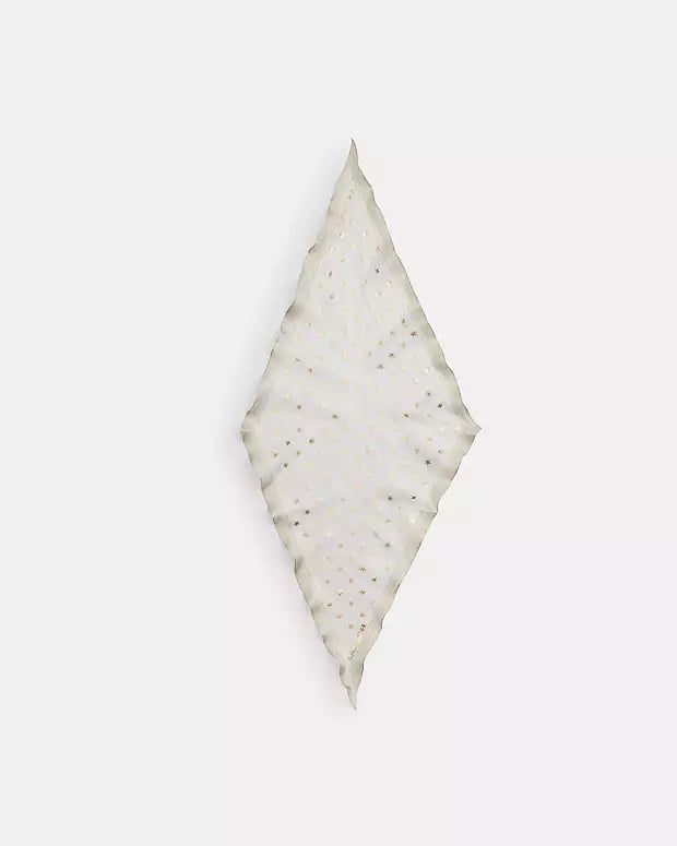 Coach Silk Scarf (Cream/White)