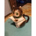 Vintage CMI 8.5 Porcelain Kitty Cat Teapot w/ Green Collar Made in Japan 1972