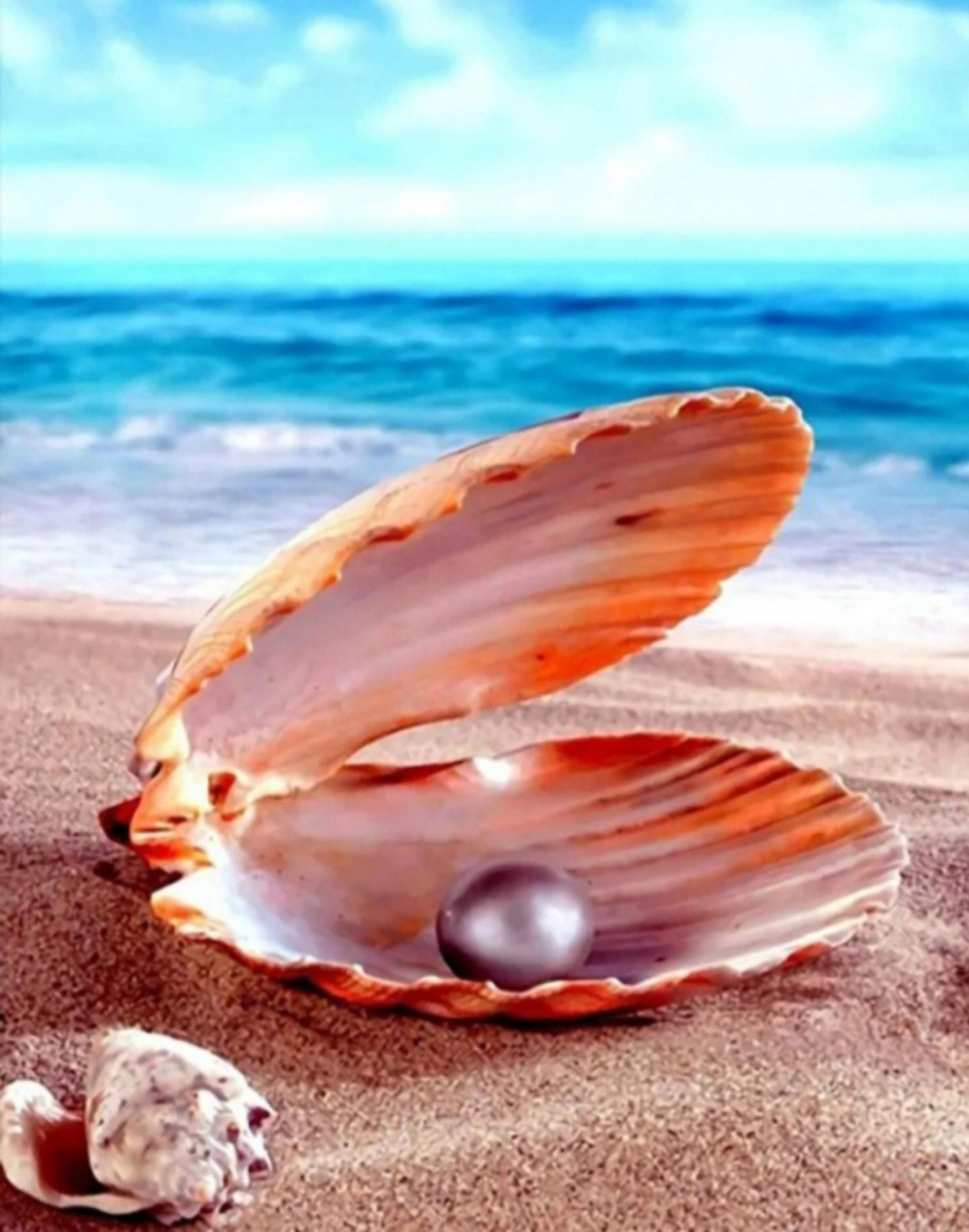 Diamond Painting Full/Round DIY 5D 12x16 *2 for 25.00 OR 3 for 30.00**FreeShip**