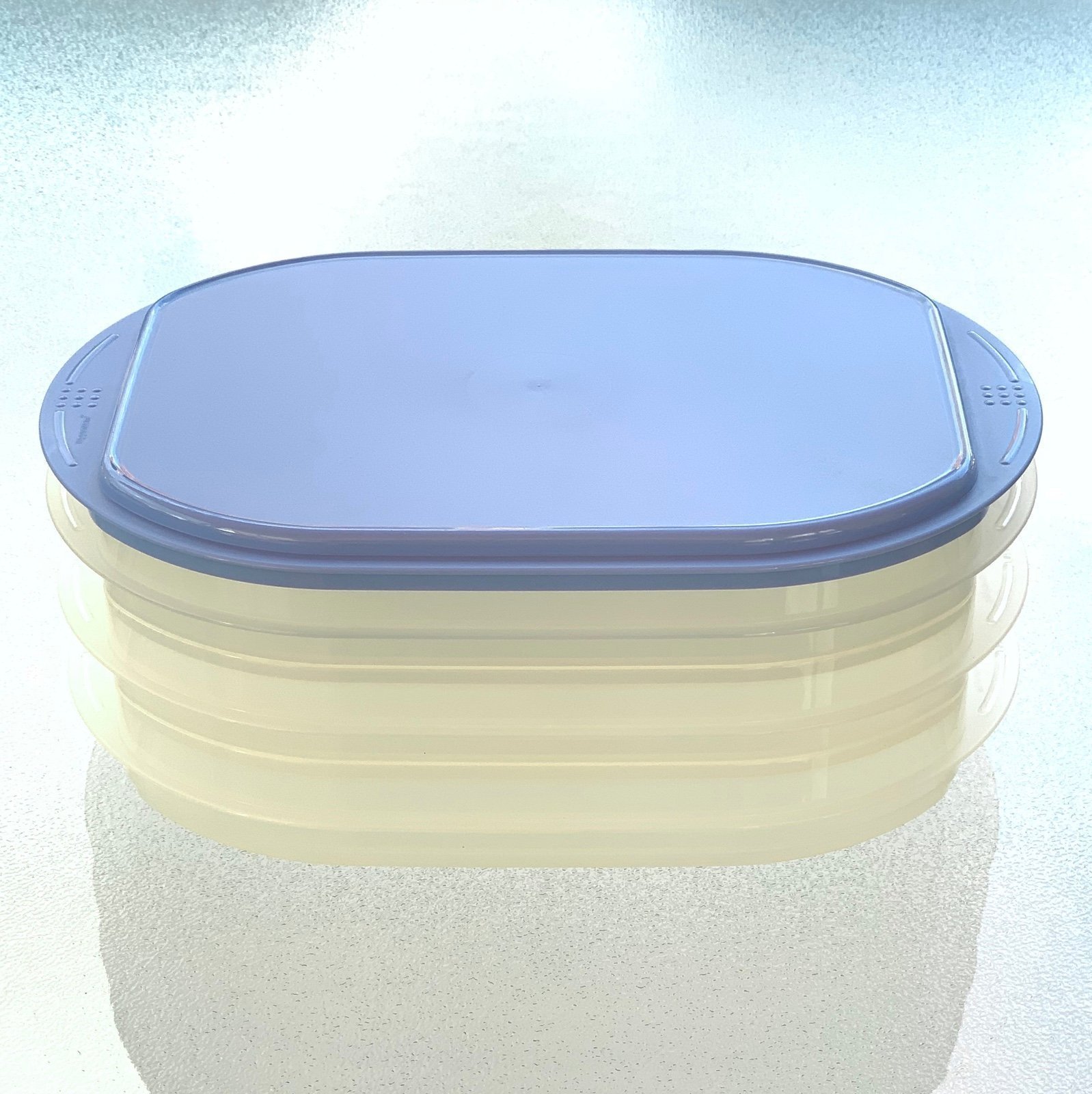Tupperware Fridge Stackables Deli Meat Keeper Stacking Trays with Blue Lid