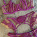 Honey Birdette Gabrielle Orchid