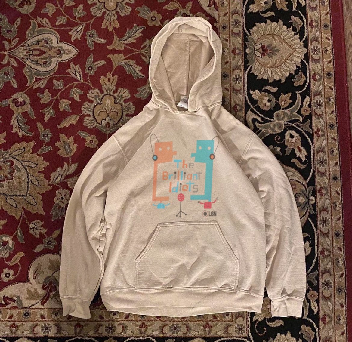 Brilliant idiots Hoodie