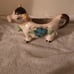 Vintage Cow Creamer (96)