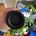 Sony XB23 Speaker