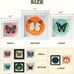 Real Butterfly Shadow Box - Ethically Sourced Gothic Wall Art