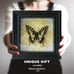 Real Butterfly Shadow Box - Ethically Sourced Gothic Wall Art