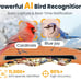 Bird Feeder with Solar Powered Camera