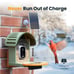 Bird Feeder with Solar Powered Camera