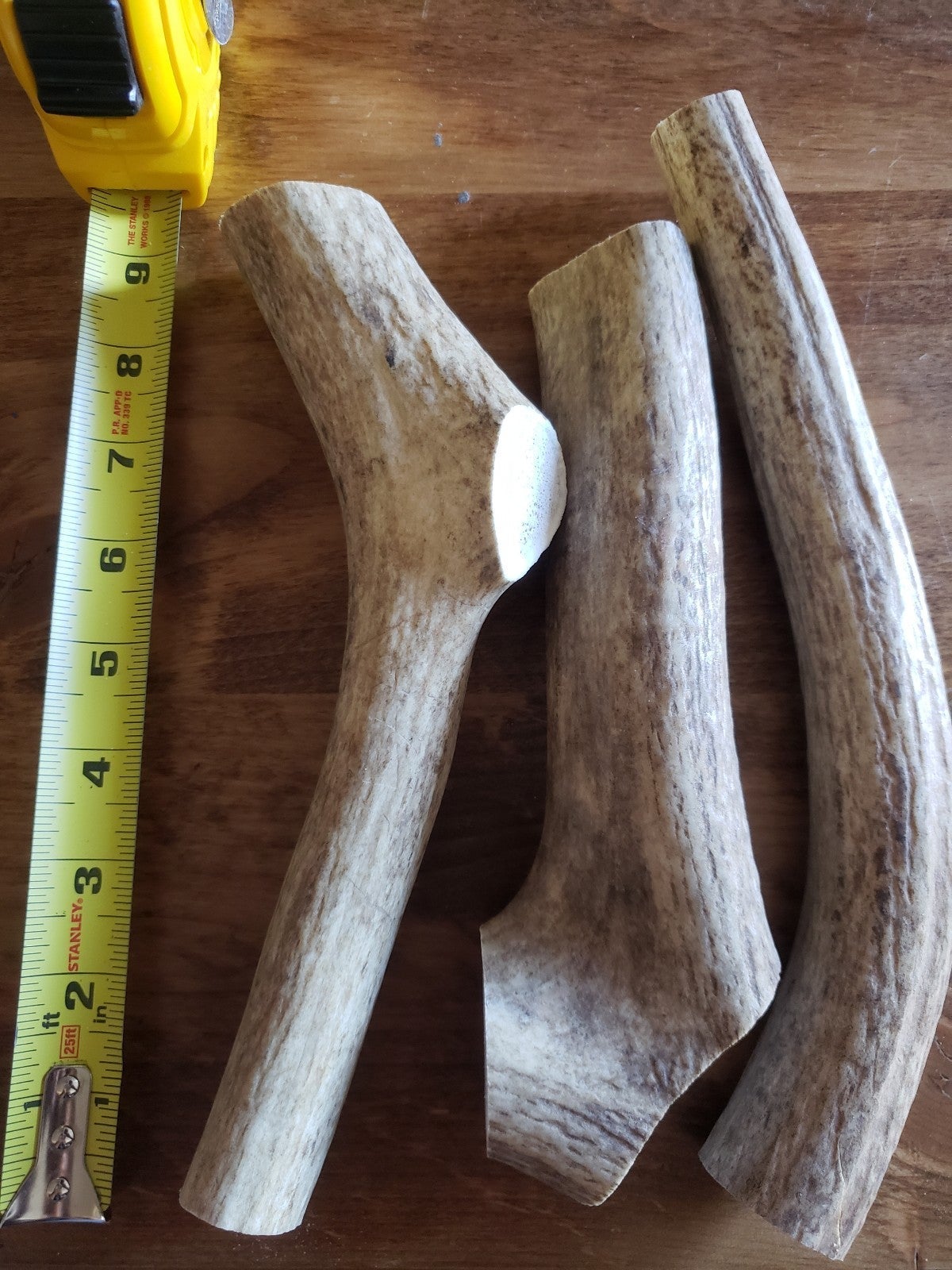X-LARGE Elk Antler Dog Chew (2 pack) A Grade Antler 8 +.