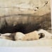 Andrew Wyeth - The Helga Pictures book (AFIT 17W)