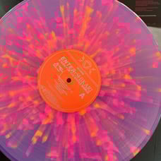 Enter Shikari - A Kiss For the Whole World w/ Signed Insert