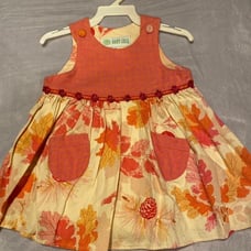 Kids girls Baby Lulu Fall Theme Dress 12 months
