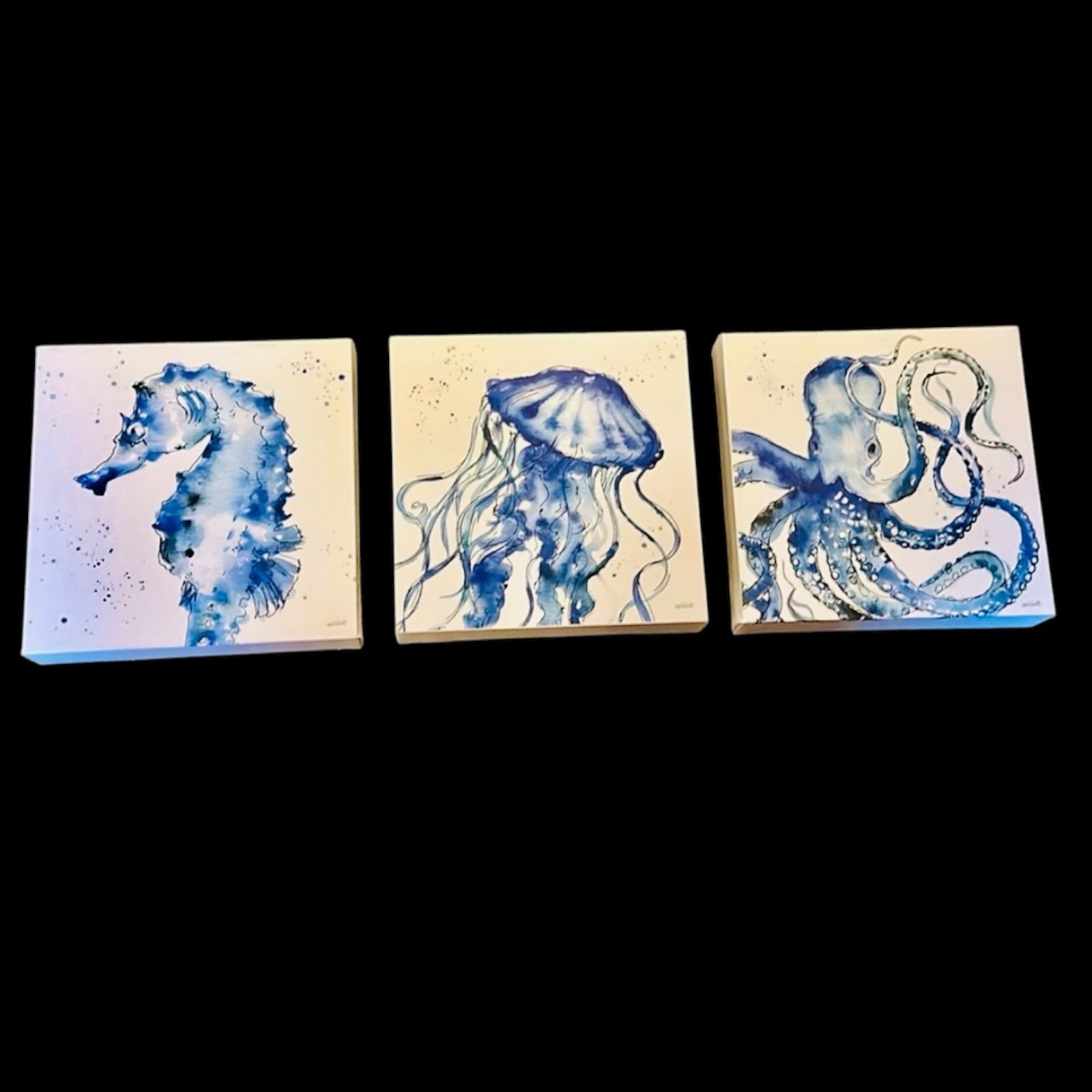 Beautiful Canvas Pictures Of An Octopus, A Jellyfish & A Sea Horse!!