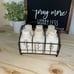 Rae Dunn spice shaker set of 6