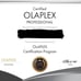 Olaplex No 4P Blonde Enhancer Toning Shampoo 8.5fl oz