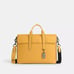 NWT Coach Sullivan Portfolio Brief