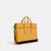 NWT Coach Sullivan Portfolio Brief