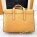 NWT Coach Sullivan Portfolio Brief