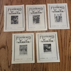 The Feathered Warrior
