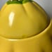 Williams-Sonoma Yellow Squash Lidded Bowl