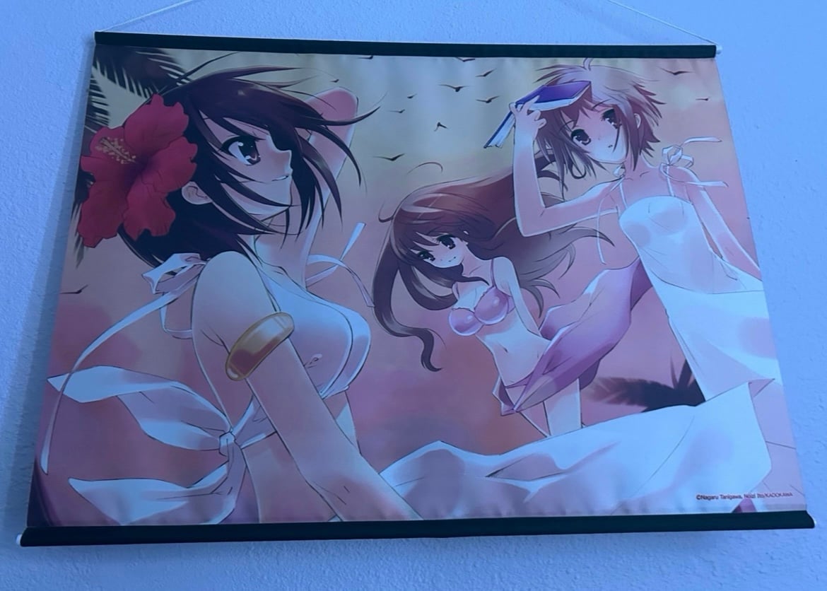 Anime tapestrys lot