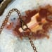 Isa Rune Red Jasper Honey Spell Jar Necklace