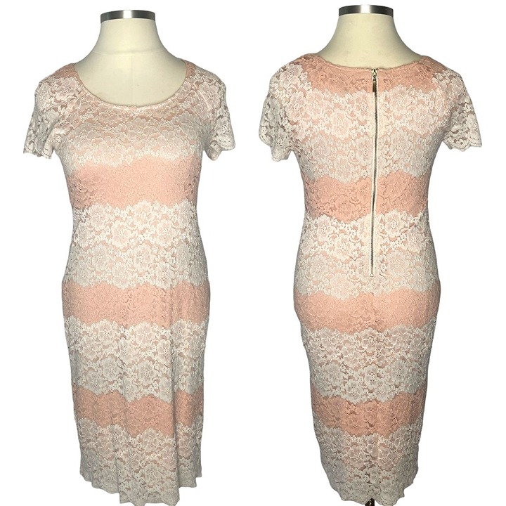 Anthropologie Plus 14 Stretch Lace Bodycon Midi Dress Striped Short Sleeve Pink