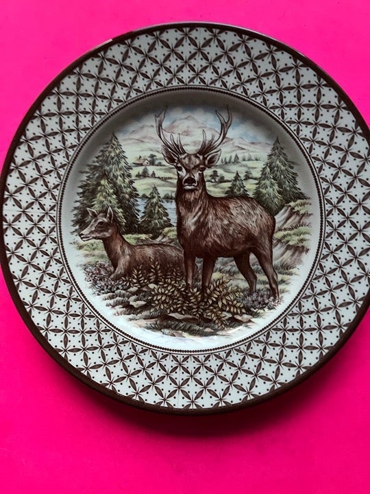 ROYAL Stafford Thanksgiving Plates Set of (4)11 inches