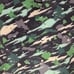 Oahu Golf Shirt Mens 3XL OGA Island Flow Hunter Polo In Dark Rainforest Camo New