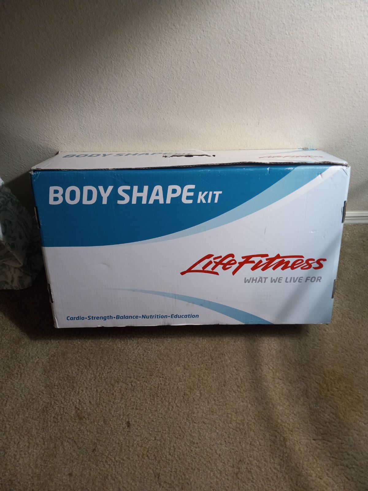 Life fitness body shape kit
