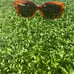 Christian Dior sunglasses for women