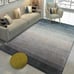 Anti-Fatigue Sofa Floor Mat for Living Room, Bedroom - Room Decor - 62.99x90.55i
