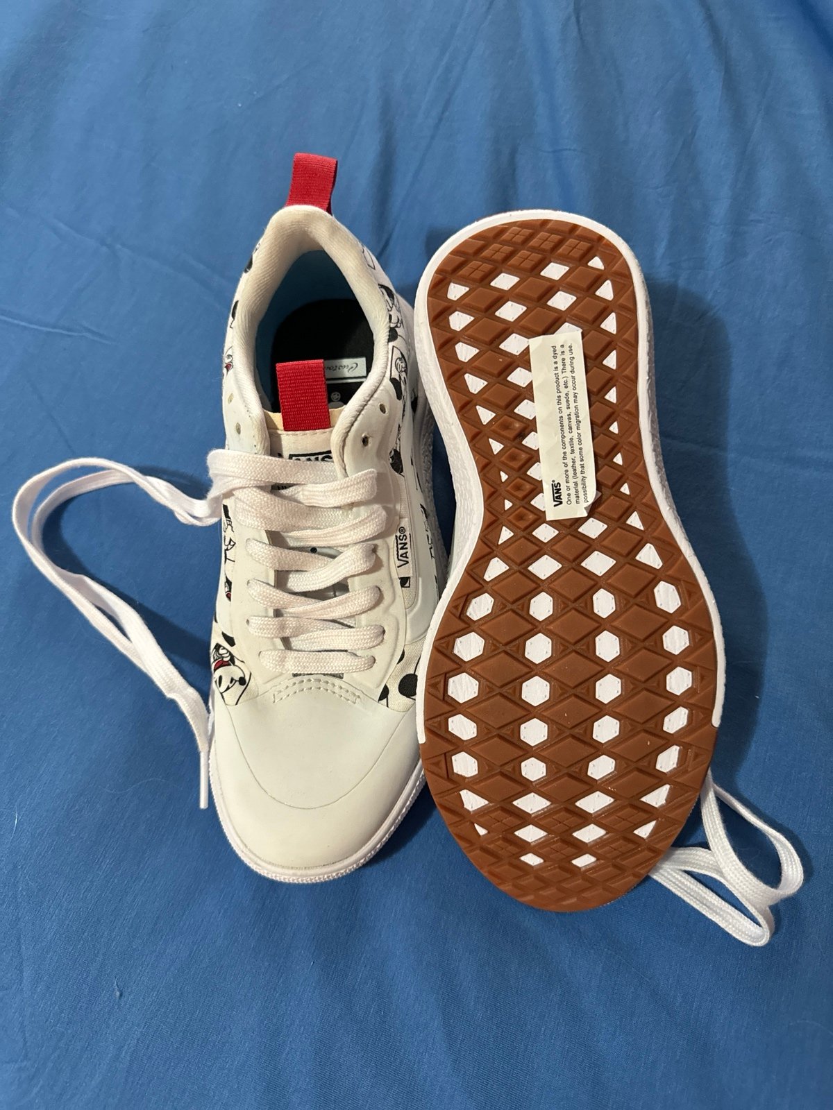 Mickey vans