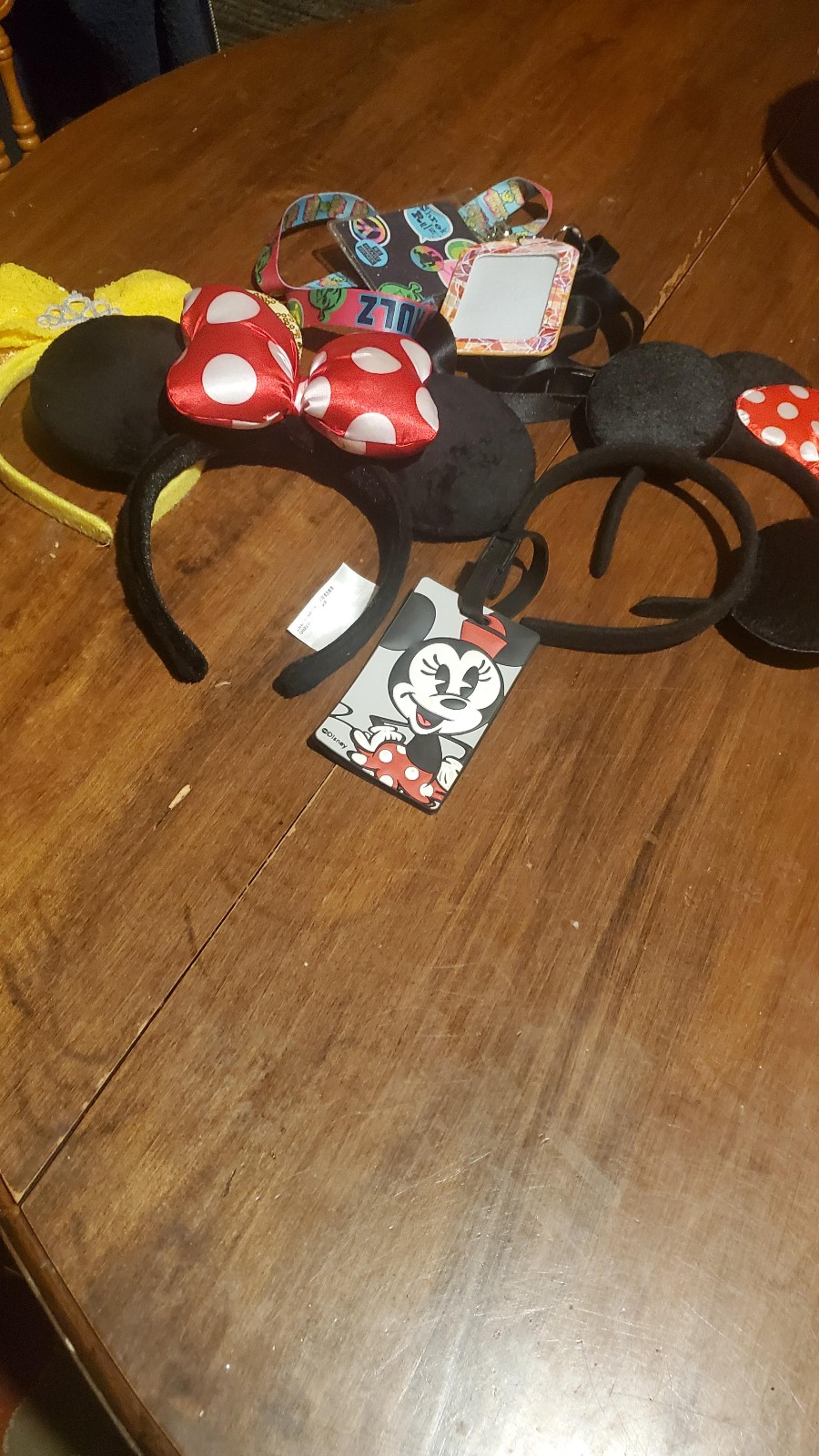 Disney travel set ears, lanyards, tags