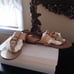 Chloe Flats