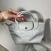 Longchamp Le Pliage XS Gray Mini Leather Shoulder Bag Pouch
