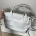 Longchamp Le Pliage XS Gray Mini Leather Shoulder Bag Pouch