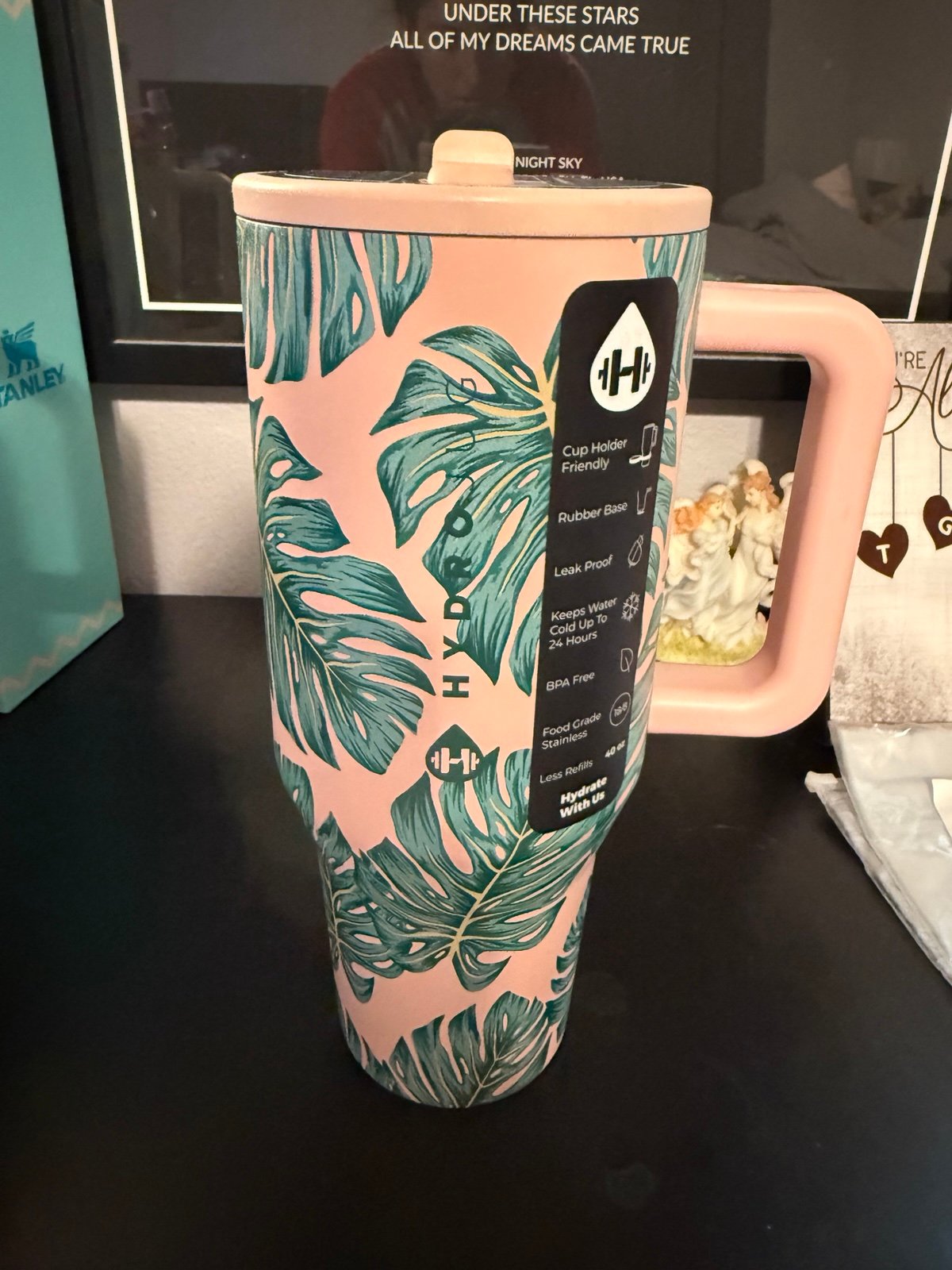 HydroJug Monstera