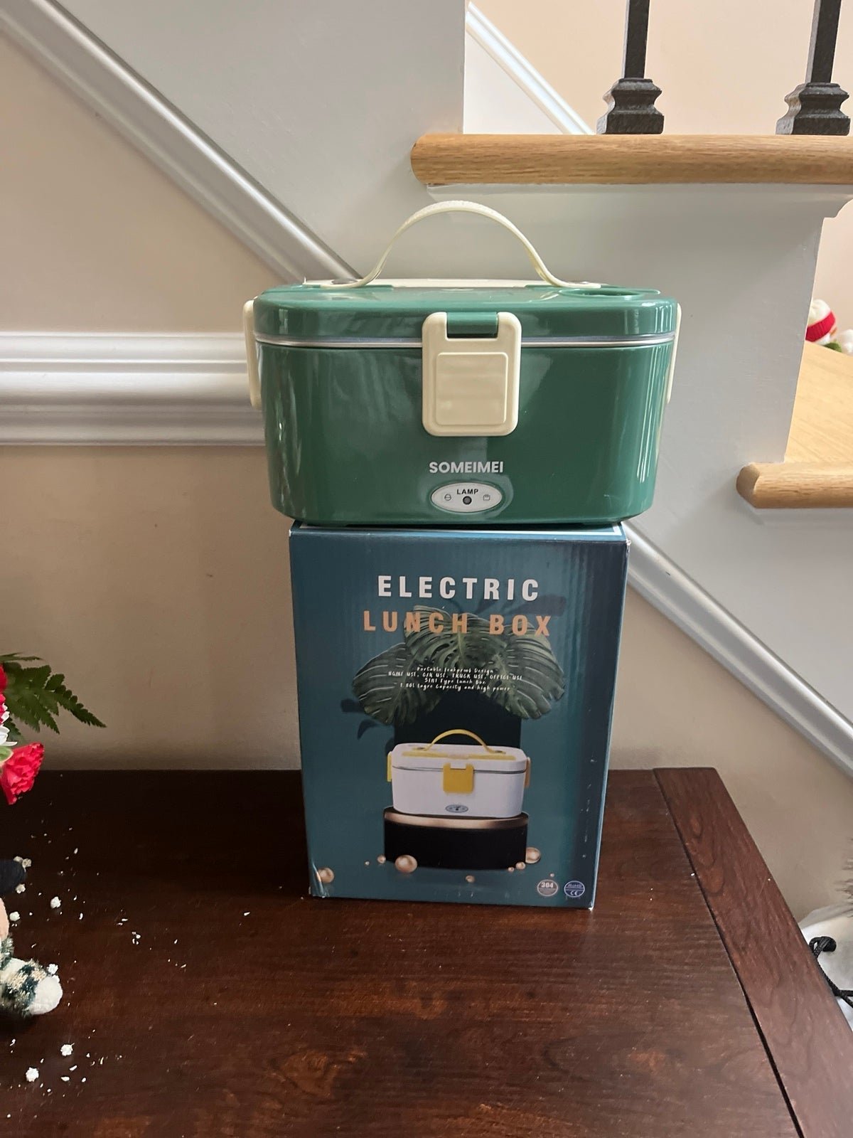 Electric lunch box