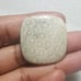 Fossil Coral Natural Gemstone Cabochon