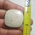 Fossil Coral Natural Gemstone Cabochon
