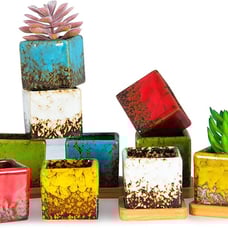 Succulent Pots with Drainage Trays, 2.1 Inch Set of 10